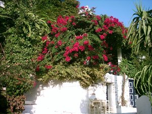 Amorgos accommodation