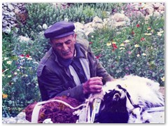 Manolis With His Animals - Above Langada