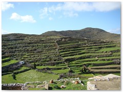 Ancient Terracing - Tholaria